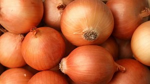 How to Grow Onions: Plant, Grow & Harvest Big Bulbs