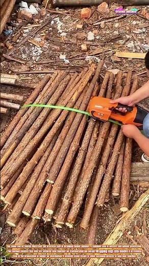 The Art of Bundle Wrapping Timber