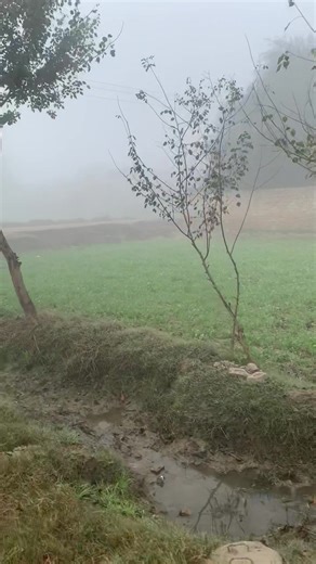 Thand bre a 🤧😂😂😂#foryou #foryoupage❤️❤️ #unfreezemyacount #viewsproblem🤧🥺 @Ali Jutt 👿