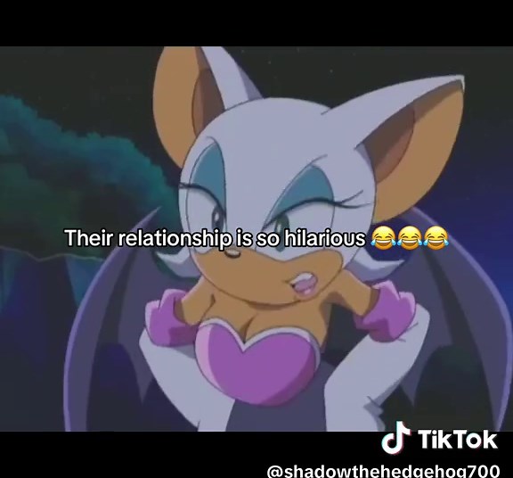 Rouge and Knuckles: Hilarious Sonic Moments