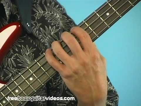 Beginner Bass Guitar Lesson: Left Hand Technique