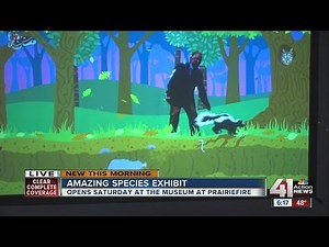 Amazing Species exhibit opens Saturday at the Museum at Prairiefire