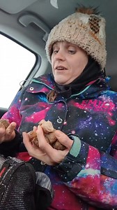 11K views · 298 reactions | Our favorite part of getting our Christmas tree every year! Random bug facts. #prayingmantis #invasivespecies #christmastree | Mueller Honey Bee | Facebook