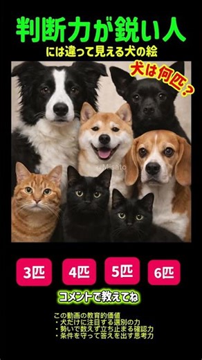 Attention! Pictures of dogs look different to people with sharp judgment [Brain training for disc...