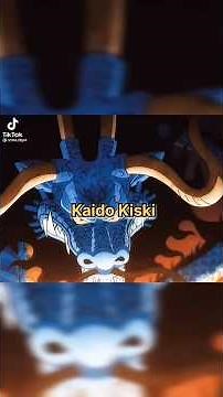 So Who Does Kaido Respect The Most?