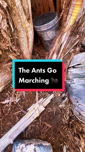 Understanding Photo Logs in Geocaching