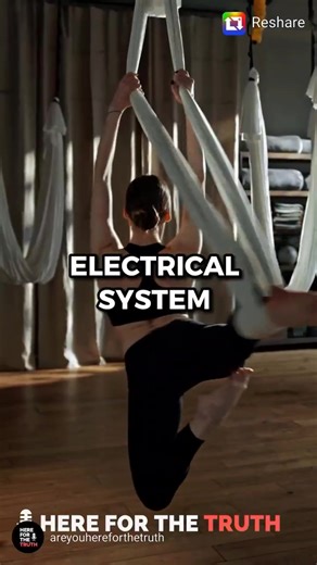 8.8K views · 289 reactions | The Human Biofield - You are...