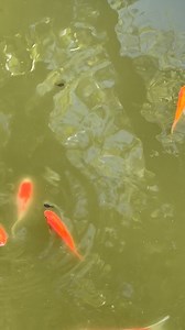 3.5K views · 14 reactions | Time after time | Exploring Alabama | Facebook