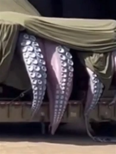 Mysterious Sightings at Area 51: Alien Encounter?