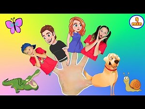 Finger Family Song + MORE Fingerplay Songs for Kids | Finger Family Compilation #fingerfamily
