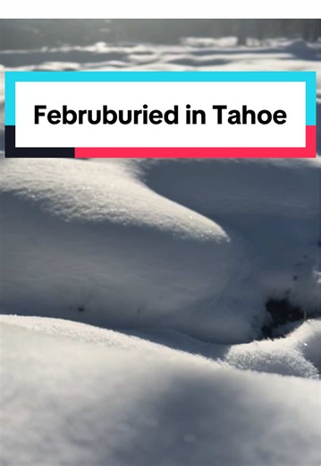 Think we will also have a miracle March this year?! #tahoe #truckee #ski #stormtotal #fyp