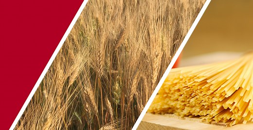 Durum Wheat | Eat Wheat