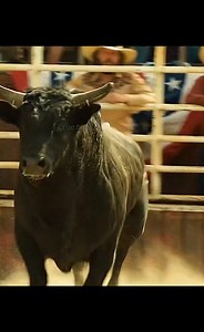 330 reactions | Full Movie:https://viptube.site/inPTm . Watch Now:https://viptube.site/Bryhp . Watch HD:https://viptube.site/QcCwf | The Best Movies | Facebook