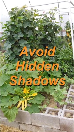 Avoid Hidden Shadows #VegetableGarden, #HomeGarden, #SmallSpaceGardening