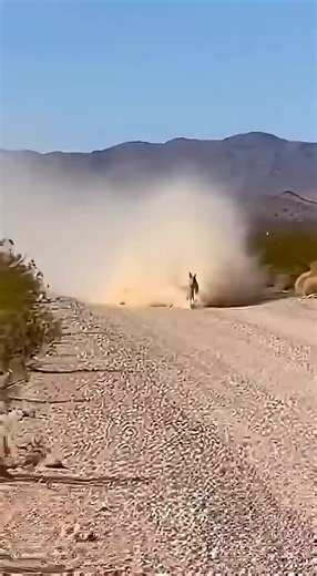 usatiktok🇺🇸♥️😘 #uktiktok🇬🇧ukviral #pppppppppppppppp #vairal_video #🇱🇷🇱🇷🇱🇷🇱🇷🇱🇷🇱🇷🇱🇷🇱🇷 #foryoupage❤️