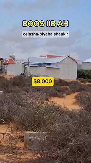 29K views · 469 reactions | BOOS IIB AH  ✅️ Goobta: celasha-biyaha shaakir ✅️ Cabirka: 15×20 ✅️ Sharciga: federal ✅️ Qiimaha: $8,000 ☎️ Lasoo xiriir 61 4272400 | Dhulmaax Service | Facebook