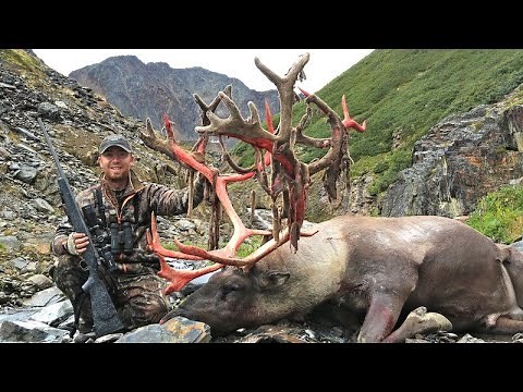 JUMBO VELVET SHEDDING CARIBOU & WOLVERINES! | L2H S05E05 "Velvet Tassels"