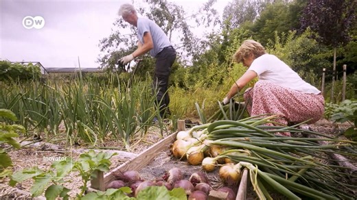 Oosterwold: Komunitas Unik yang Tuntut Pengorbanan