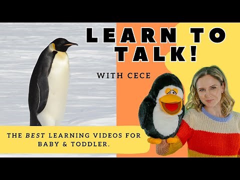 Learn to Talk I First Words & Sentences I Baby Learning, Speech, Songs & Sign Language with CeCe