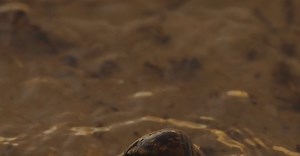 Video by Jose Gabriel Ortega Castro on Pexels