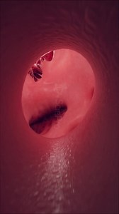 489K views · 5.7K reactions | 變 Inside the Beating Heart: A...