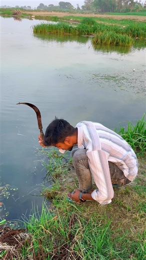 cattery se main pakerliya konsa machli🐟😱(1053) hindi village fishing technique #fishingtechniques