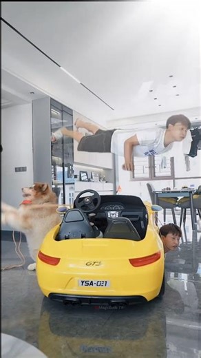 Dogesh tried to fix the car… and almost pulled his owner's soul out!