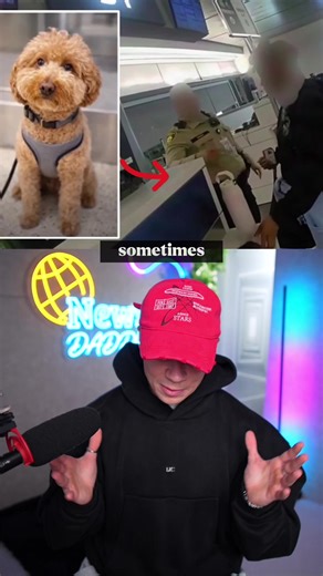 Abandoned Dog Finds Forever Home After Airport Incident