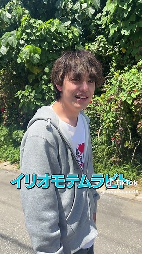石垣島でイリオモテヤマネコとの出会い