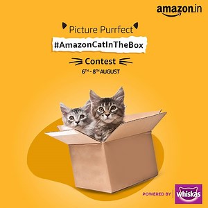 If you have a box, your cat is going to find a way to play with it and we would love to see how. Post an image or video of your furry friend having a fun time with their favorite box to participate in the #AmazonCatInTheBox Contest. The cuter the entry, the higher is your chance of winning an Amazon Gift Card worth ₹5000. 6 winners will win ₹5000 each. Entries by 8th Aug 8PM will be considered, winners will be announced by 16th Aug. www.amazon.in/CatInTheBox | Amazon India