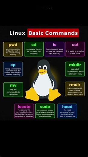 🚀🚀linux command #tech#codingbat#coding#code#ai #python#code#programminglanguage#linuxforbeginer🗄️🚀
