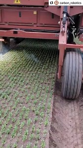 1.1M views · 8.2K reactions | Pulverização a laser  #Repost...