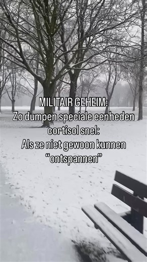 Irenedrops 🌸 balans / gewichtsverlies 🌸 on Instagram: "1. Cortisol is geen stress, het is ONZEKERHEID Een gevechtsverpleger zei het direct: “Wij kalmeren soldaten niet. Wij halen de onzekerheid weg.” Je lichaam laat cortisol pieken wanneer het niet weet: – Wat er hierna komt – Hoe lang het gaat duren – Wanneer het kan stoppen Daarom voelt een burn-out eindeloos: er is geen duidelijk eindsignaal. 2. Het leger ‘rust’ nooit, Na gevaar krijgen soldaten de opdracht om wapens schoon te maken, uitrus