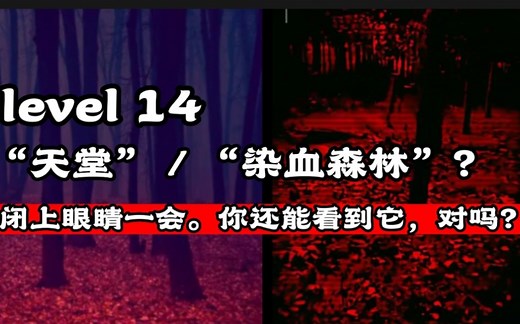 level 14到底是个啥？为什么去那的人很少有人出来？