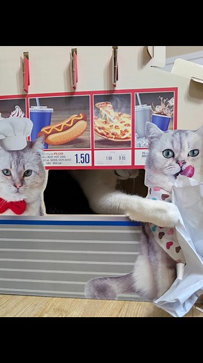 #warehouse #catscratcher from Costco $12. Costco should #giveaway to every #catowners seriously 🙄. #cat #cats #kitties #kittens #mortgagefreelife #mortgagefreeliving #follower #highlights #reelschallenge #viral #viralreelschallenge | Guardian and Governor