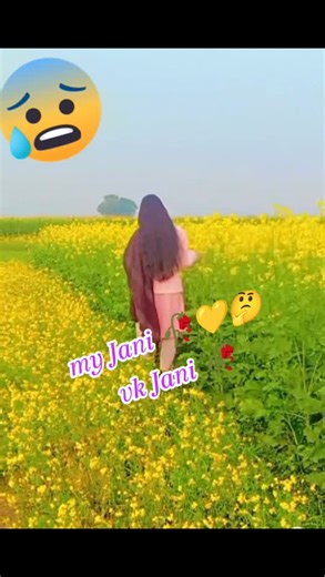 My Jani - Heartfelt Expression