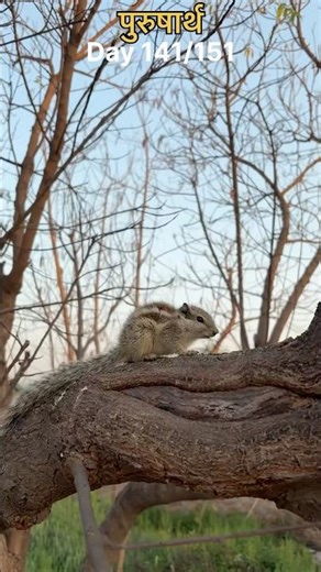 Day 141/151 - Purusharth 06/03/26 🥺🙏