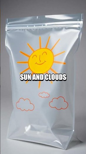 The Water Cycle in a Bag Experiment