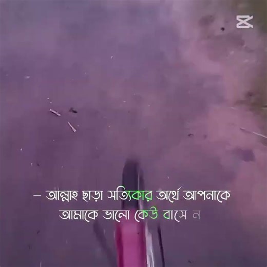 আল্লাহ ছাড়া কেউ আপন না