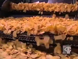 Elaboración de papas fritas a nivel industrial