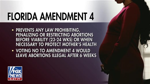 10K views · 394 reactions | Governor Ron DeSantis breaks down Florida’s new ballot measures with just 13 days until election day. | Fox & Friends | Facebook