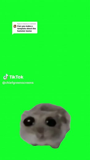 Funny Hamster Meme Template for CapCut | Cute and Wholesome Memes