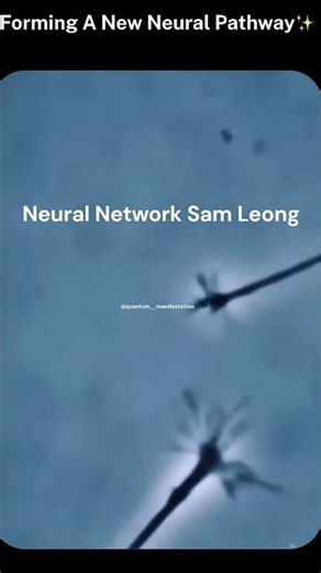 Neural Networks Sam Leong #ai