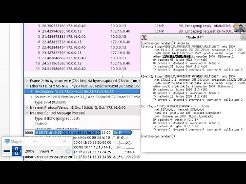 4.4.2.8 Lab - Using Wireshark to Examine Ethernet Frames