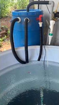 Filter clean ആക്കി 🤢 Simple bog filter for big tank