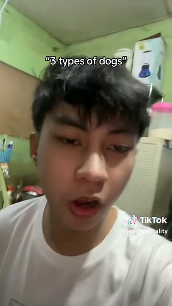 The Power of Mentality: A Funny Perspective