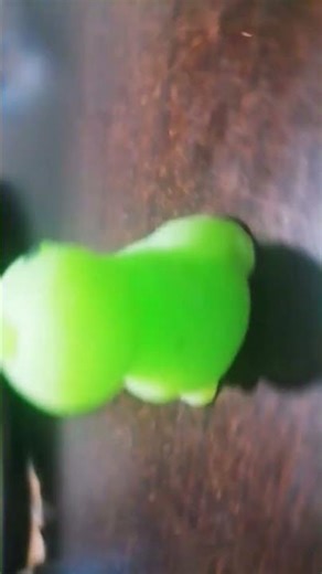 #music #remix #electronicmusic #dinosaur