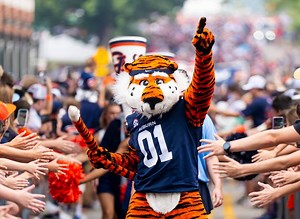 Auburn VIP - Football