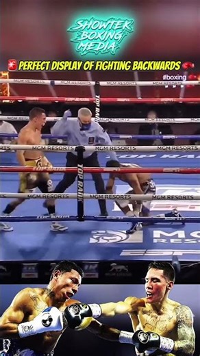 Beautiful display of fighting on your back foot 🥊