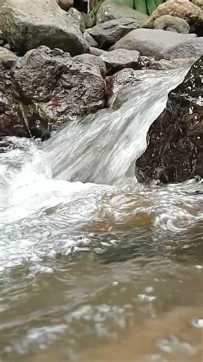 Fast Flowing River 🌧️ Natural Water Sound for Relaxation